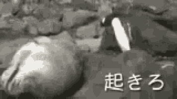 a black and white photo of a penguin and a seal with chinese writing