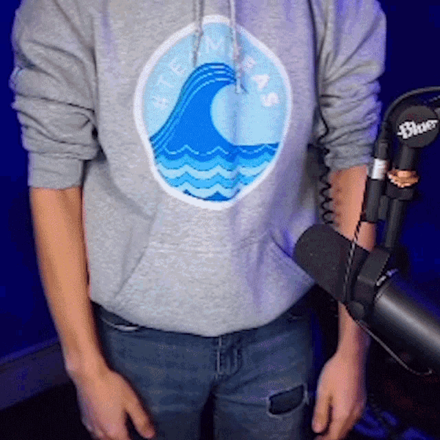 a person wearing a grey hoodie with a wave in the middle