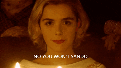 a close up of a woman 's face with the words no you won 't sando below it