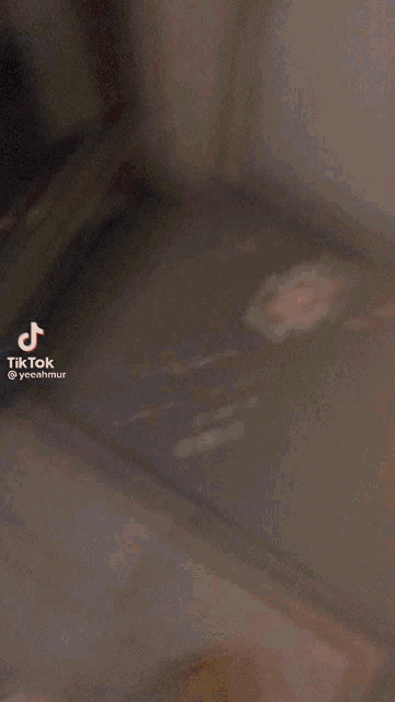 a close up of a person 's hand with a tiktok watermark on it