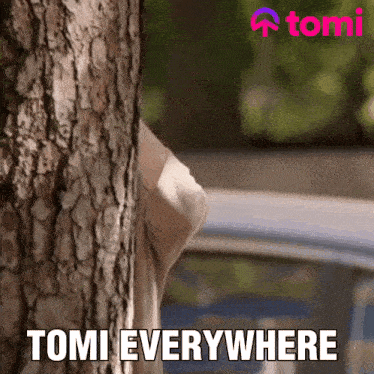 Peek Everywhere GIF - Peek Everywhere Tomi GIFs
