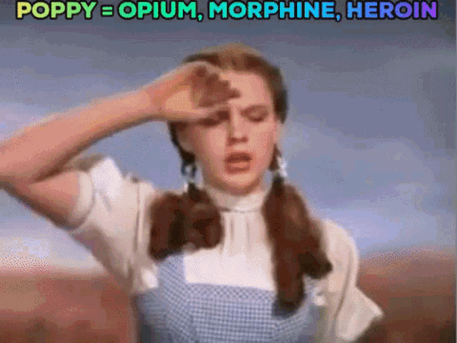 The Wizard Of Oz Dorothy Gale GIF - The Wizard Of Oz Wizard Of Oz Dorothy Gale GIFs