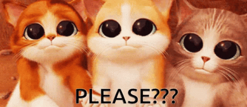 Please Cats GIF - Please Cats Cat GIFs