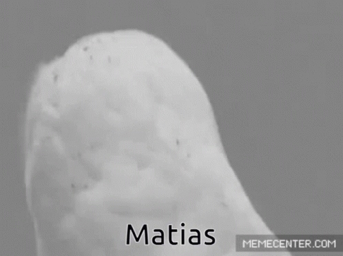Matias Bird GIF - Matias Bird GIFs