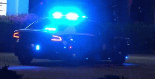 Fhp GIF - Fhp GIFs