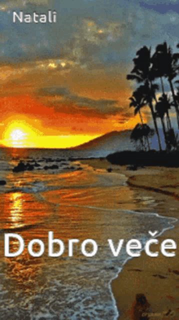 a painting of a beach at sunset with the words " natali " above it