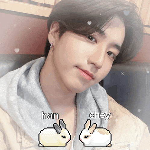 a pixelated image of a man with han and chey written below him