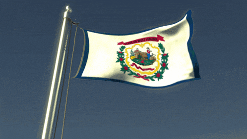 a virginia flag is waving in the wind against a blue sky