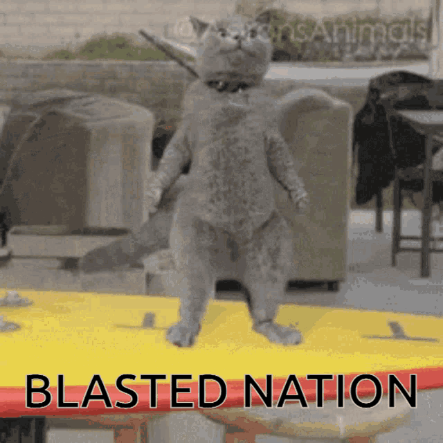 Blasted Blasted Nation GIF - Blasted Blasted Nation Blasted Naysh GIFs