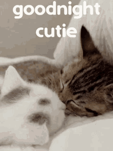 Goodnight Goodnight Cutie GIF - Goodnight Goodnight Cutie Sleepy GIFs