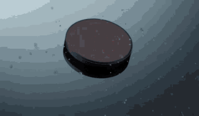 a circular object is floating on a surface