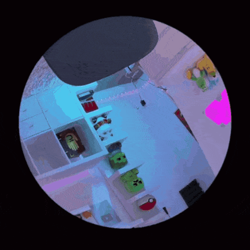 a picture of a room with stuffed animals on shelves and a clock that says 12:37