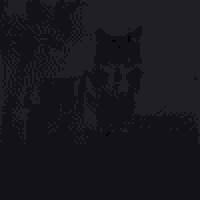 a husky dog is standing in the middle of a storm with lightning behind it .