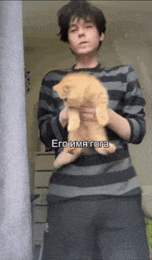 a man in a striped shirt is holding a small orange cat in his arms .
