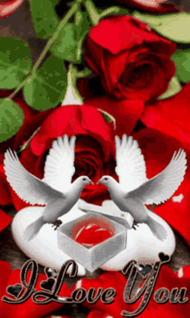 a couple of doves sitting on top of a heart with the words i love you written below them