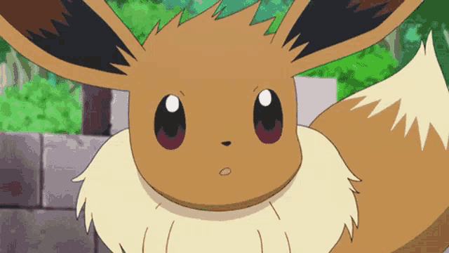 a close up of a cartoon eevee with a surprised look on his face