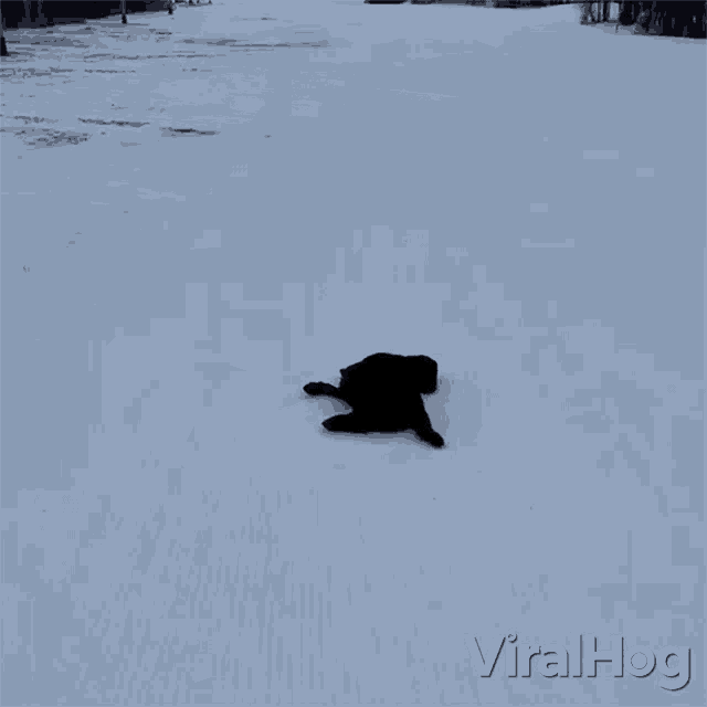 Sliding Down Snow Hill Viralhog GIF - Sliding Down Snow Hill Viralhog Slipping On Snow GIFs