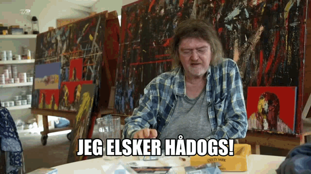 a man in a plaid shirt sitting at a table with the words jeg elsker hadogs written on the bottom