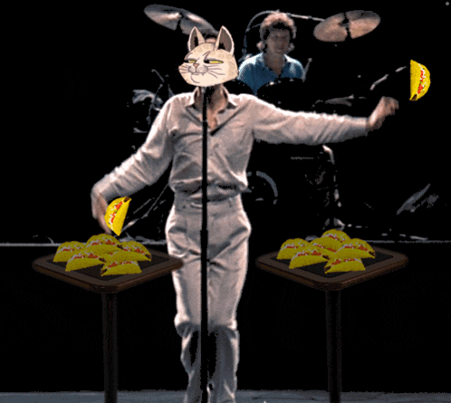 a man with a cat mask stands in front of a microphone