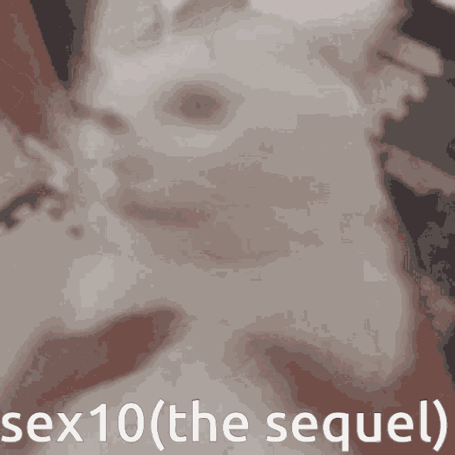 a blurred image of a cat with the words sex10 ( the sequel ) written on the bottom