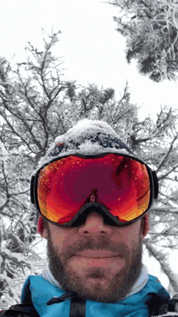 a man wearing a blue jacket and red goggles stands in front of snow covered trees