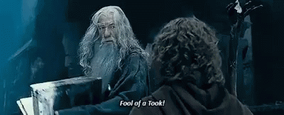 Gandalf Fool GIF - Gandalf Fool Idiot GIFs