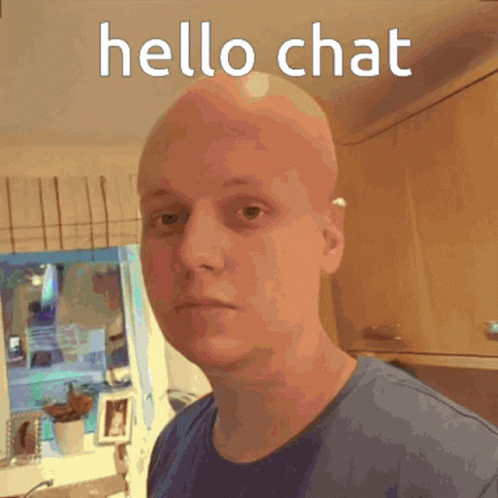 Hello Chat Hello GIF - Hello Chat Hello Chat GIFs