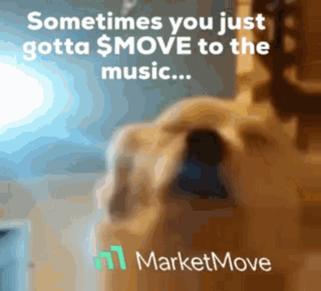 Vibes Music GIF - Vibes Music Dog GIFs