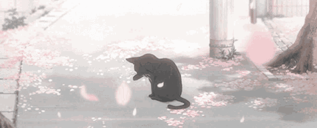 a black cat is sitting on a sidewalk surrounded by cherry blossoms .