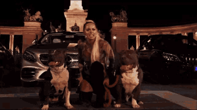 a woman stands next to a mercedes with a dog in front of it