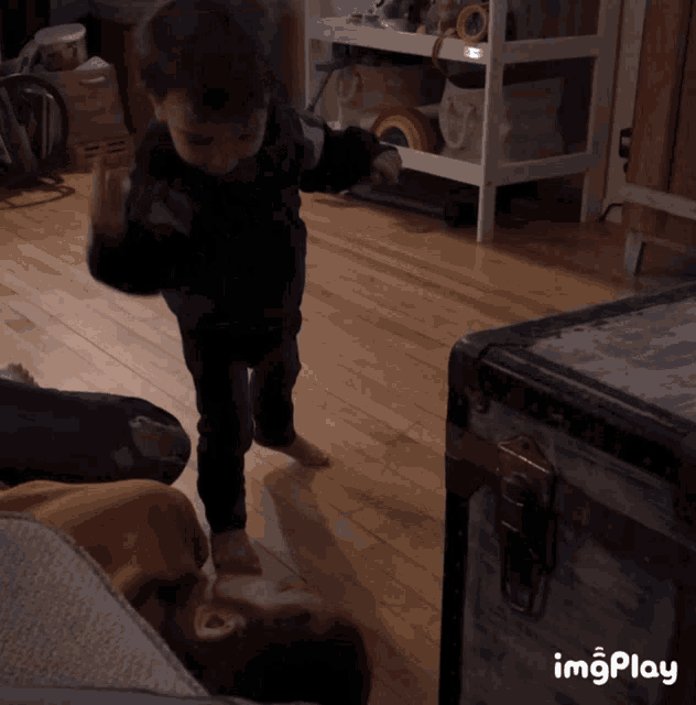a little boy standing on a wooden floor next to a trunk with imgplay written on it