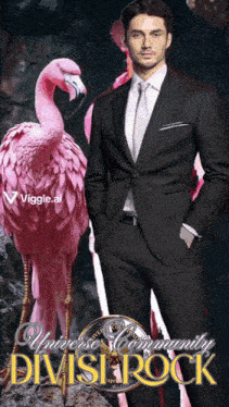 a man in a suit is standing next to a pink flamingo with the words universe community divide rock written on the bottom