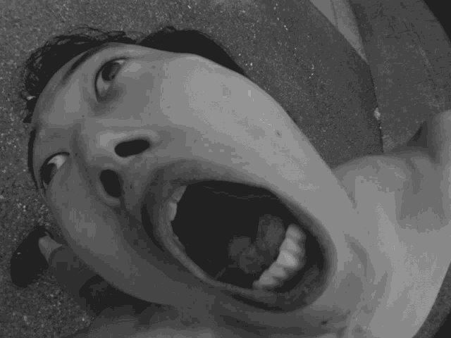 South Penguin GIF