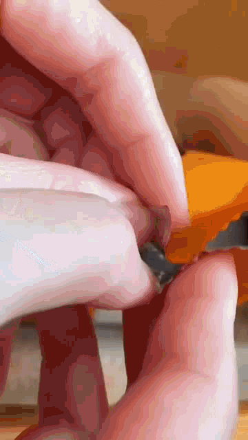 Cat Chips GIF - Cat Chips Chips Packet GIFs