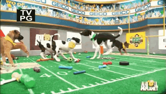 Puppy Bowl Puppies GIF - Puppy Bowl Puppies Super Bowl GIFs