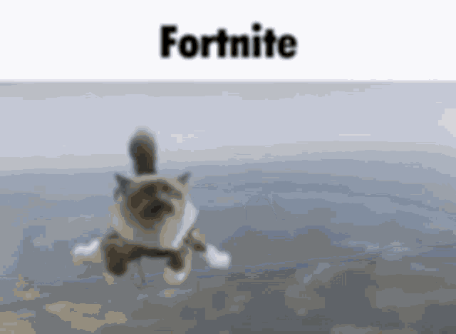 a cat is flying through the air with the words fortnite written on the bottom .