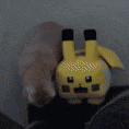 a cat is standing next to a yellow stuffed animal .