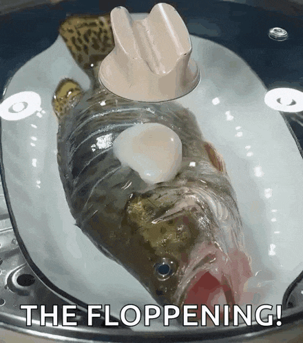 a fish is sitting on a white plate with the words the floppening written below it