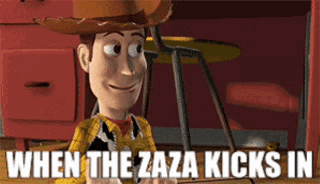 woody from toy story is smiling and says " when the zaza kicks in " at the bottom