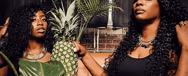 two women are standing next to each other holding a pineapple .