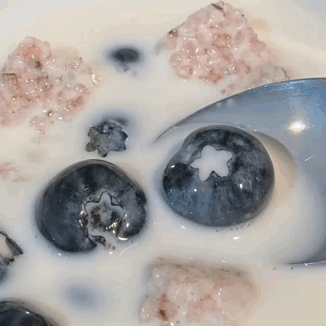 a close up of a bowl of cereal with blueberries and a spoon