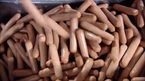 How It'S Made: Hot Dogs GIF - Hotdog Sausages Sausage Party GIFs