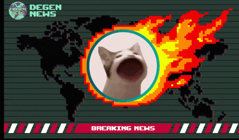 a breaking news screen with a cat in the center
