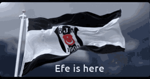 Efe Is Here GIF