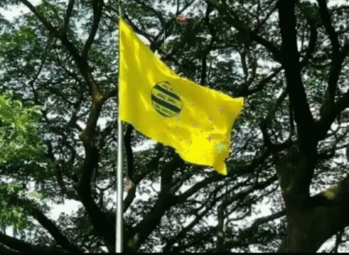 Sndp Kerala GIF - Sndp Kerala Flag GIFs