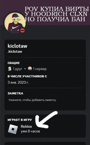 a screenshot of a person 's profile with the name kiclotaw on it