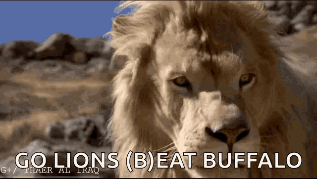 Lions Roar GIF - Lions Roar GIFs