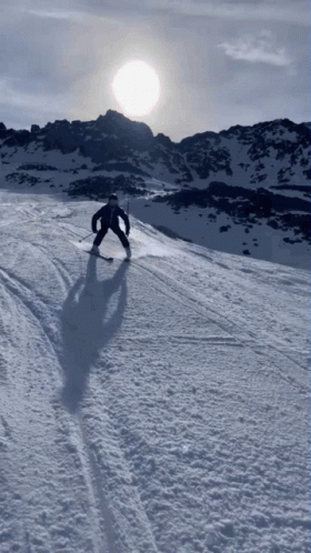 Tout Schuss Ski GIF - Tout Schuss Ski Skiing GIFs