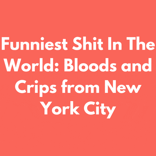 a red background with white text that says " funniest shit in the world "