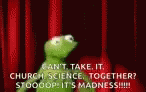 Kermit Freak Out GIF - Kermit Freak Out GIFs